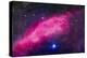 The California Nebula-Stocktrek Images-Premier Image Canvas