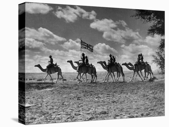 The Camel Corps of the King's African Rifles, October 1945-null-Premier Image Canvas
