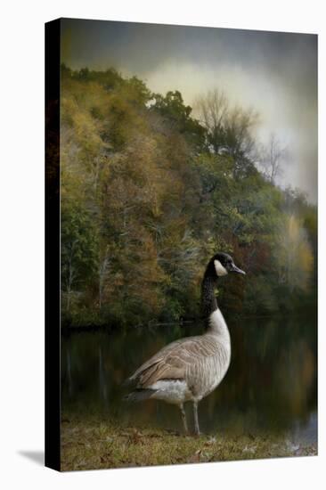 The Canadian Goose-Jai Johnson-Premier Image Canvas