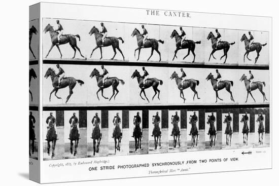 The Canter: One Stride Photographer Synchronously from Two Points of View, 1887, Illustration…-Eadweard Muybridge-Premier Image Canvas