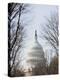 The Capitol Building, Capitol Hill, Washington D.C., United States of America, North America-Christian Kober-Premier Image Canvas