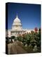 The Capitol Building from the East, Washington D.C., USA-Geoff Renner-Premier Image Canvas