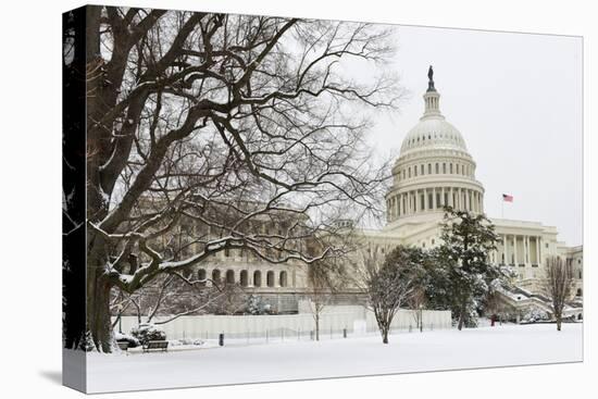 The Capitol in Snow - Washington Dc, United States of America-Orhan-Premier Image Canvas