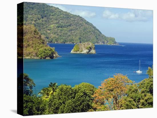 The Caribbean, Trinidad and Tobago, Tobago Island-Christian Kober-Premier Image Canvas