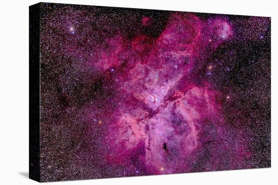 The Carina Nebula in the Southern Sky-null-Premier Image Canvas