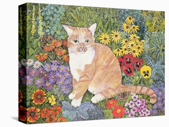 The Carpenter's Cat-Hilary Jones-Premier Image Canvas