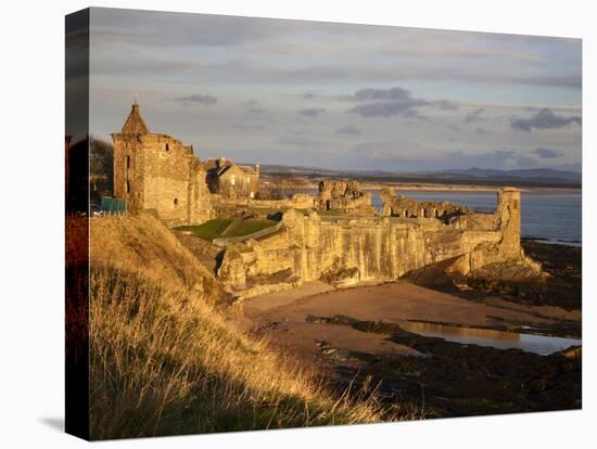 The Castle at Sunrise, St Andrews, Fife, Scotland-Mark Sunderland-Premier Image Canvas