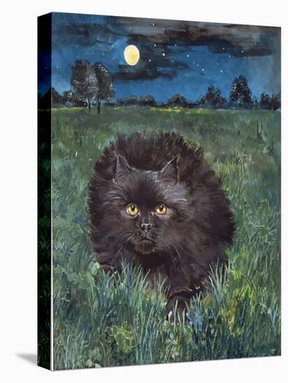 The Cat and the Moon-Hilary Jones-Premier Image Canvas