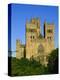 The Cathedral, Durham, County Durham, England, UK-Neale Clarke-Premier Image Canvas