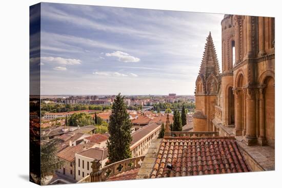 The Cathedral in Salamanca, UNESCO World Heritage Site, Castile and Leon, Spain, Europe-Julian Elliott-Premier Image Canvas