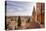 The Cathedral in Salamanca, UNESCO World Heritage Site, Castile and Leon, Spain, Europe-Julian Elliott-Premier Image Canvas