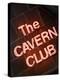 The Cavern Club at 10 Mathew Street, Liverpool; England, Uk-Carlos Sanchez Pereyra-Premier Image Canvas