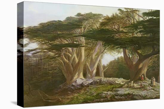 The Cedars of Lebanon, 1861-Edward Lear-Premier Image Canvas