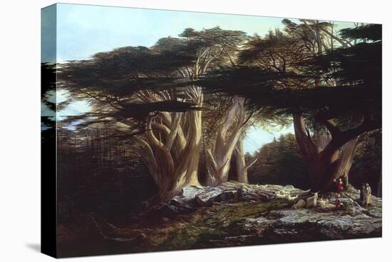 The Cedars of Lebanon-Edward Lear-Premier Image Canvas