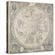 The Celestial Chart of the Southern Hemisphere-Albrecht Dürer-Premier Image Canvas