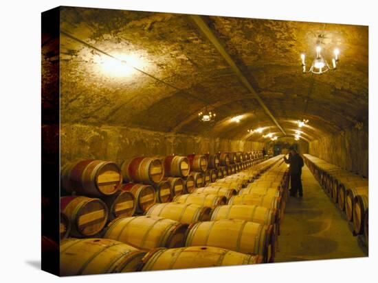 The Cellars, Chateau Lafitte Rothschild, Pauillac, Gironde, France-Michael Busselle-Premier Image Canvas