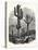 The Cereus Giganteus, or Monumental Cactus-null-Premier Image Canvas