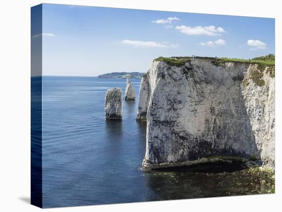 The Chalk Cliffs of Ballard Down with the Pinnacles Stack and Stump in Swanage Bay-Roy Rainford-Premier Image Canvas