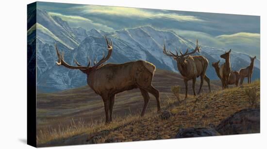 The Challenge (Elk)-Kalon Baughan-Stretched Canvas