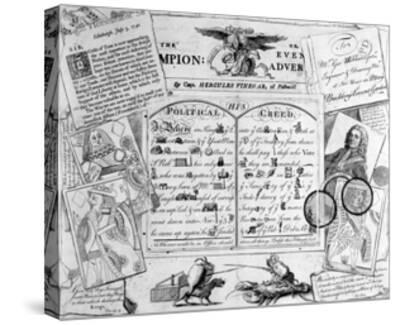 champion century canvas