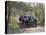 The Chauffeur of a Renault 40CV Torpedo Sport-null-Premier Image Canvas
