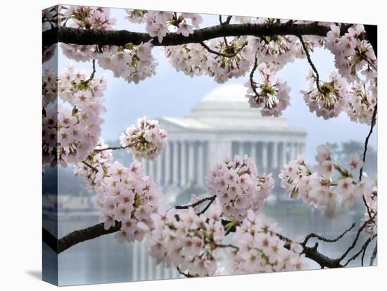The Cherry Blossoms are in Full Bloom Along the Tidal Basin in Washington-null-Premier Image Canvas