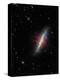 The Cigar Galaxy-Stocktrek Images-Premier Image Canvas