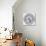 The Circle of the Zodiac-null-Stretched Canvas displayed on a wall