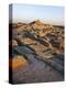 The Citadel with Buddhist Stupa 2nd Century Ad, Mohenjodaro, Pakistan-Ursula Gahwiler-Premier Image Canvas