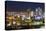 The City Center and Central Business District at Night, Astana, Kazakhstan, Central Asia-Gavin Hellier-Premier Image Canvas