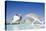 The City of Arts and Sciences, Valencia, Spain, Europe-Michael Snell-Premier Image Canvas