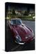 The Classic E-Type-Tim Kahane-Premier Image Canvas