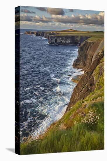 The cliffs at Loop Head, near Kilkee, County Clare, Munster, Republic of Ireland, Europe-Nigel Hicks-Premier Image Canvas