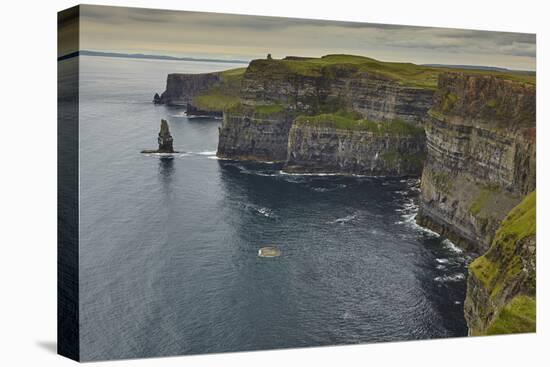 The Cliffs of Moher, near Lahinch, County Clare, Munster, Republic of Ireland, Europe-Nigel Hicks-Premier Image Canvas