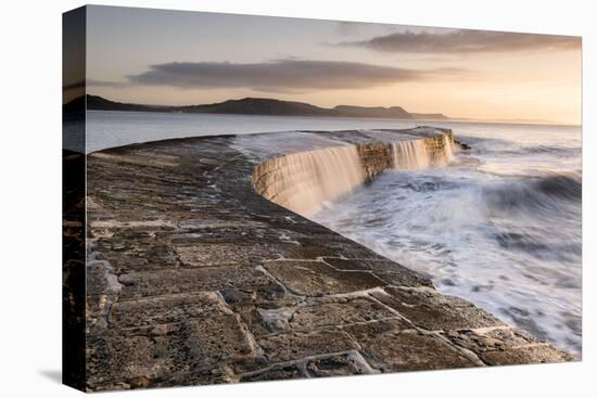 The Cobb, breakwater, Lyne Regis, Dorset, UK-Ross Hoddinott-Premier Image Canvas