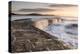 The Cobb, breakwater, Lyne Regis, Dorset, UK-Ross Hoddinott-Premier Image Canvas