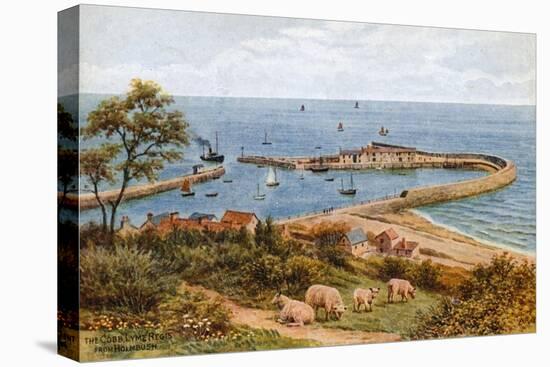 The Cobb, Lyme Regis, from Holmbush-Alfred Robert Quinton-Premier Image Canvas