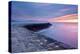 The Cobb, Lyme Regis, West Dorset, England, UK-Ross Hoddinott-Premier Image Canvas