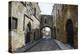 The Cobblestoned Street of the Knights-Michael Runkel-Premier Image Canvas