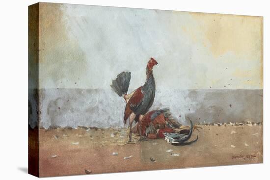 The Cock Fight, 1885-Winslow Homer-Premier Image Canvas