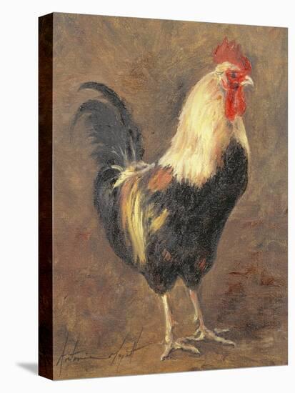 The Cockerel, 1999-Antonia Myatt-Premier Image Canvas