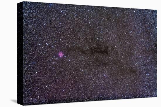 The Cocoon Nebula in the Constellation Cygnus-null-Premier Image Canvas