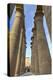 The Colonnade of Amenhotep Iii, Luxor Temple, Luxor, Thebes, Egypt, North Africa, Africa-Richard Maschmeyer-Premier Image Canvas