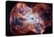 The Colorful Demise of a Sun-like Star Space Photo-null-Stretched Canvas
