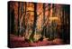 The Colors of the Woods-Philippe Sainte-Laudy-Premier Image Canvas