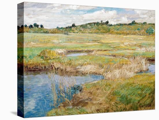 The Concord Meadow, Concord, Massachusetts-Childe Hassam-Premier Image Canvas