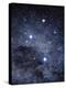 The Constellation of the Southern Cross-Luke Dodd-Premier Image Canvas