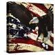 The Cost of Freedom-Jason Bullard-Premier Image Canvas