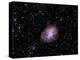The Crab Nebula-Stocktrek Images-Premier Image Canvas