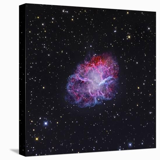 The Crab Nebula-Stocktrek Images-Premier Image Canvas